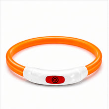 Collar Para Perro Luz Led Luminoso 40 Cm Carga Usb MLV-202516 - vista 5 del producto