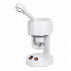 Vaporizador facial de mesa modelo DT-03