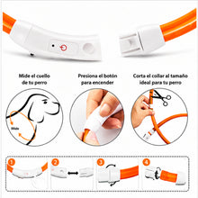 Collar Para Perro Luz Led Luminoso 40 Cm Carga Usb MLV-202516 - vista 6 del producto