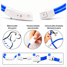 Collar Para Perro Luz Led Luminoso 40 Cm Carga Usb MLV-202516 - vista 14 del producto