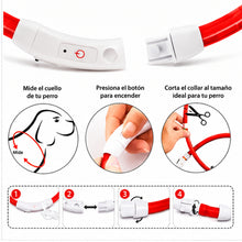Collar Para Perro Luz Led Luminoso 40 Cm Carga Usb MLV-202516 - vista 10 del producto