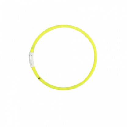 Collar Para Perro Luz Led Luminoso 70 Cm Carga Usb