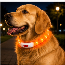 Collar Para Perro Luz Led Luminoso 40 Cm Carga Usb MLV-202516 - vista 8 del producto