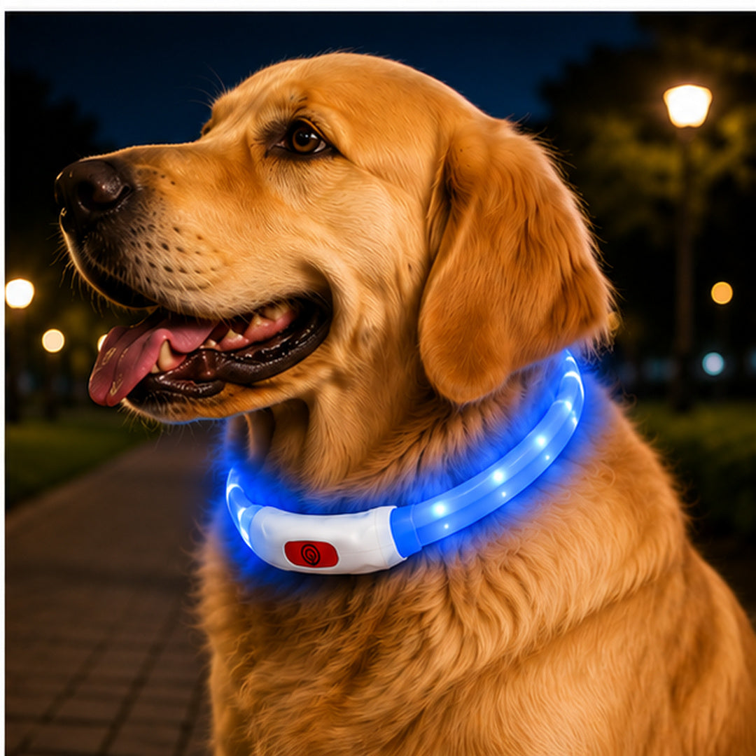 Collar Para Perro Luz Led Luminoso 40 Cm Carga Usb MLV-202516 - vista 16 del producto