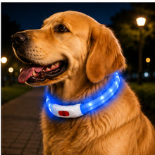 Collar Para Perro Luz Led Luminoso 40 Cm Carga Usb MLV-202516 - vista 16 del producto