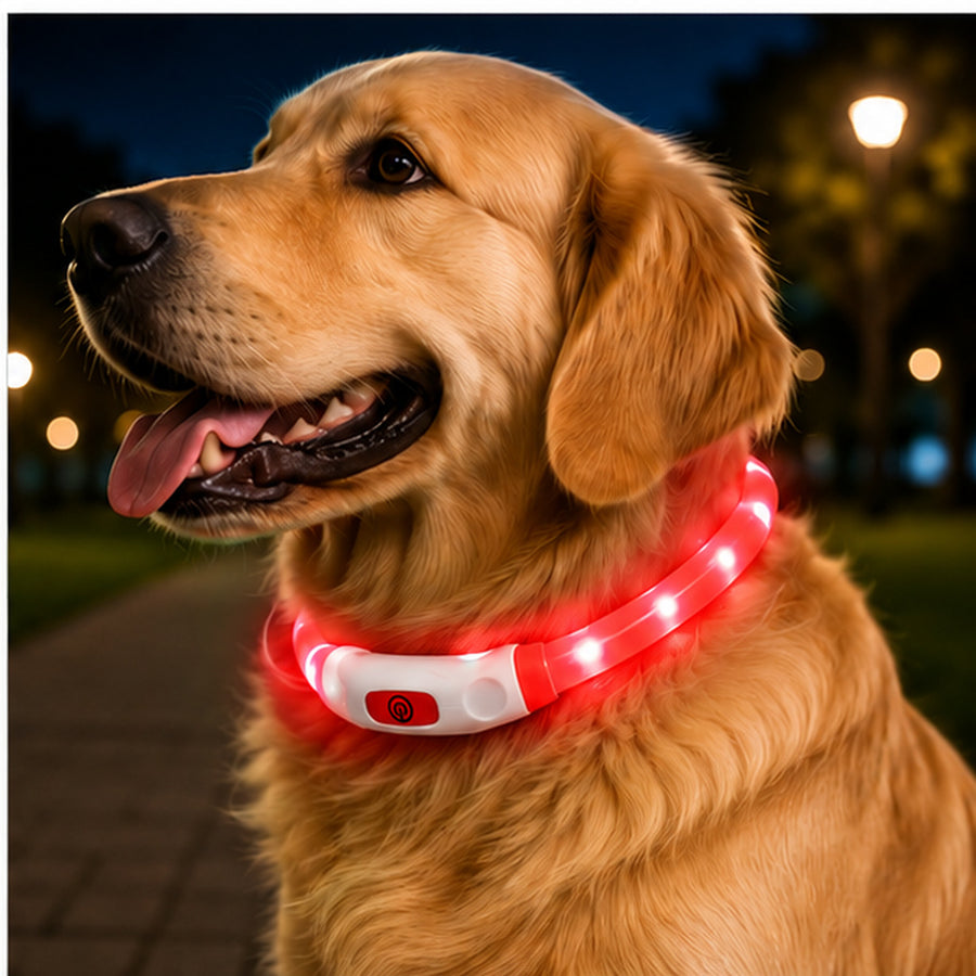 Collar Para Perro Luz Led Luminoso 70 Cm Carga Usb - vista 4 del producto
