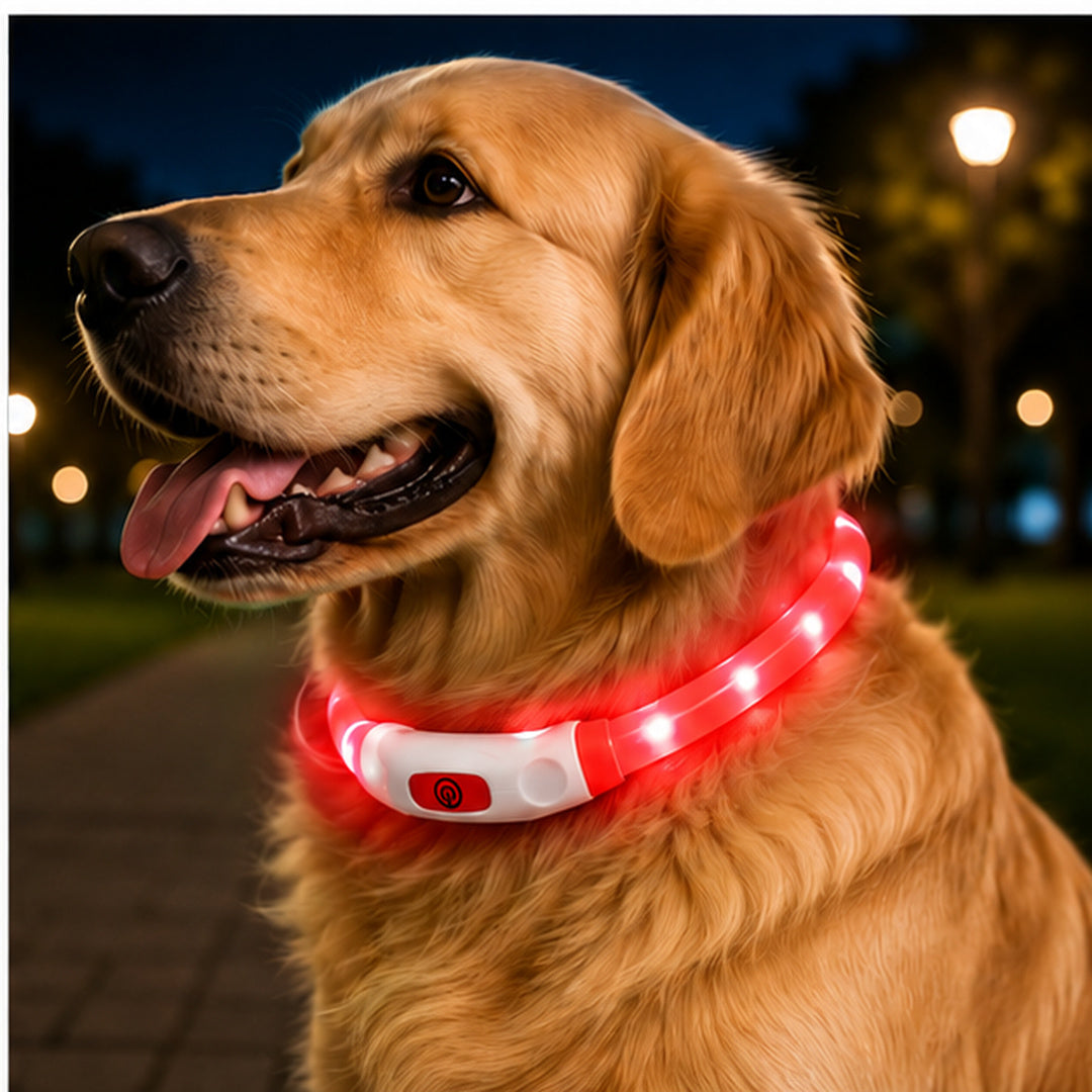 Collar Para Perro Luz Led Luminoso 40 Cm Carga Usb MLV-202516 - vista 12 del producto