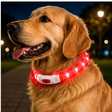Collar Para Perro Luz Led Luminoso 40 Cm Carga Usb MLV-202516 - vista 12 del producto