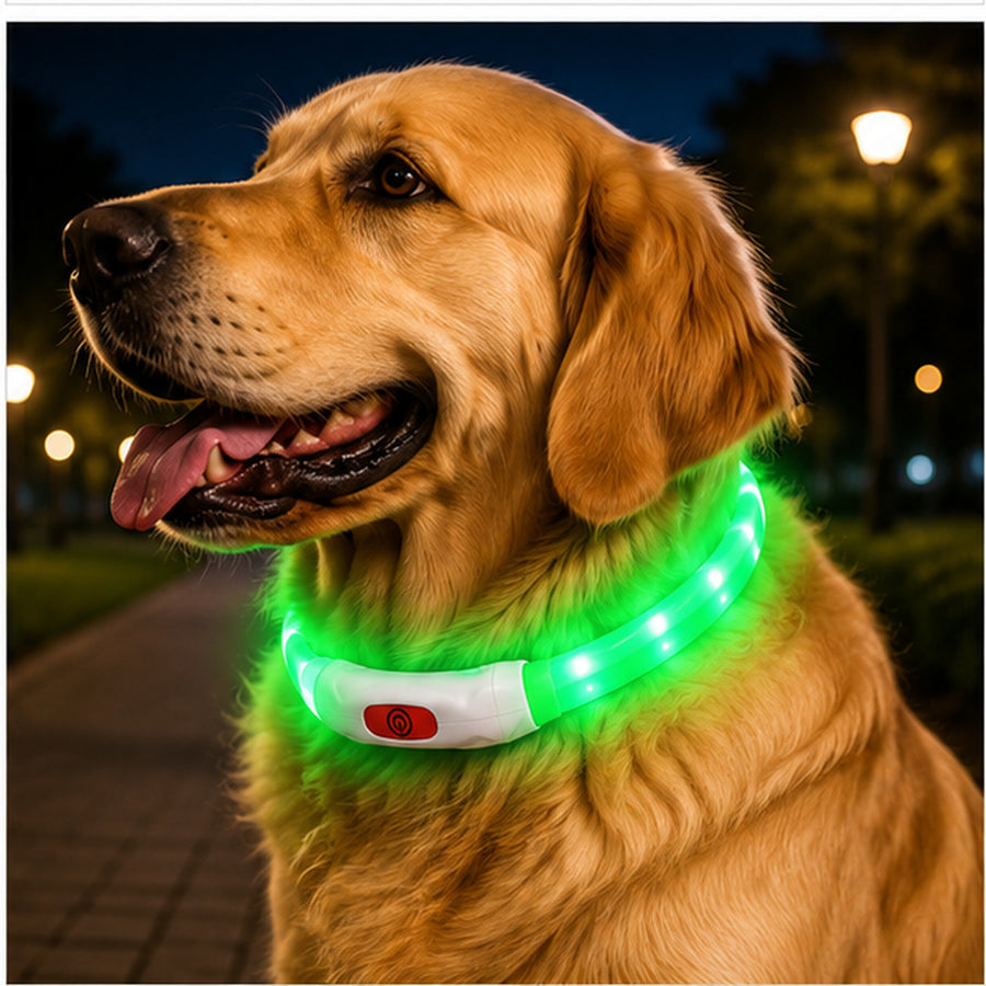 Collar Para Perro Luz Led Luminoso 40 Cm Carga Usb MLV-202516 - variante ROJO