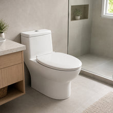 Tapa Asiento De Baño Wc Cierre Lento Y00398 - vista 4 del producto