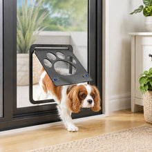 Puerta Exterior Para Mascotas Perros Gatos Casa - vista 4 del producto