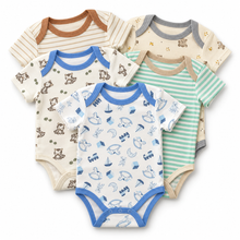 Set de 5 Bodys para Bebé Niño Talla 18 meses