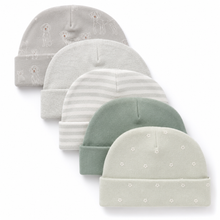 Set de 5 Gorritos para Bebé Little Alpaca Perro Gris