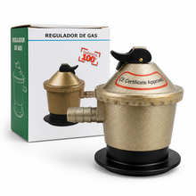 Regulador de Gas Estándar para Uso Doméstico