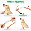 Collar Para Perro Luz Led Luminoso 70 Cm Carga Usb