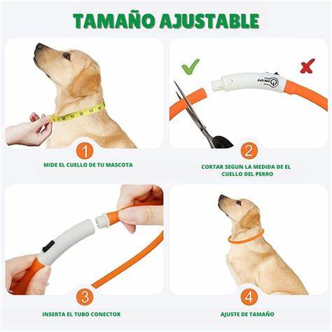 Collar Para Perro Luz Led Luminoso 70 Cm Carga Usb