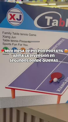 Mini Mesa De Ping Pong Portátil Plegable
